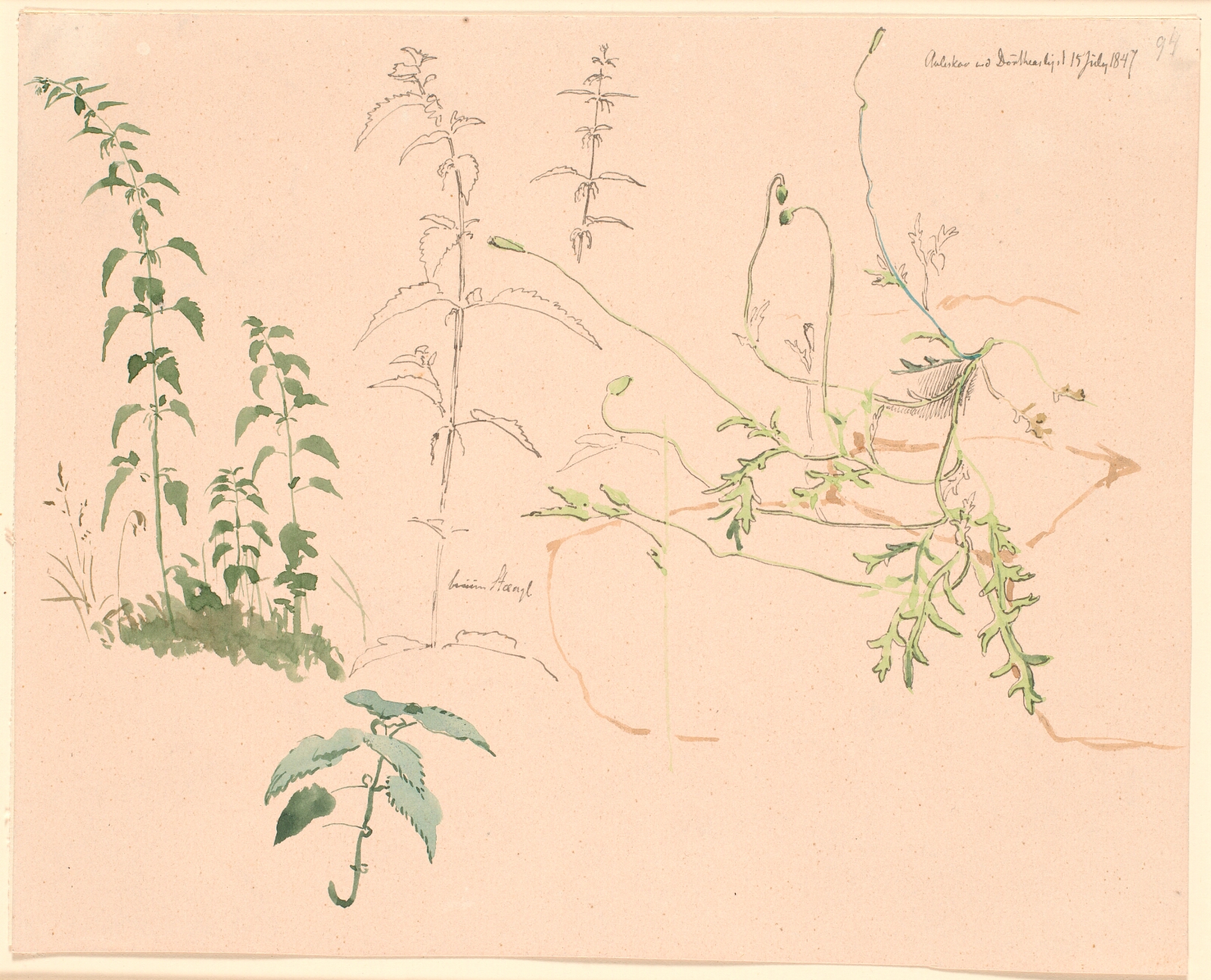 Johan Thomas Lundbye, Plantestudier