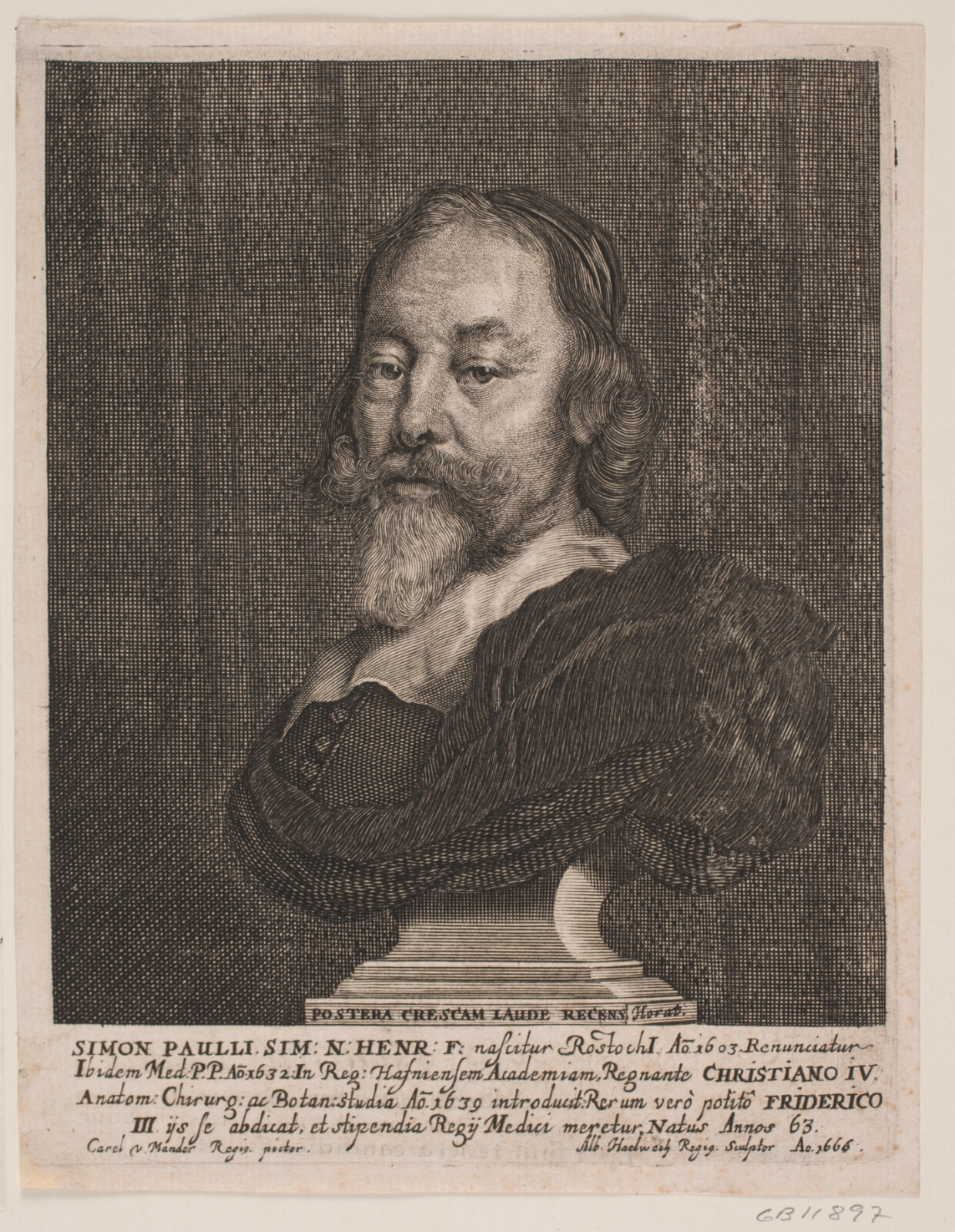 Albert Haelwegh, Simon Paulli. Illustration til Simon Paulli, "Quadripartitum Botanicum", 1667