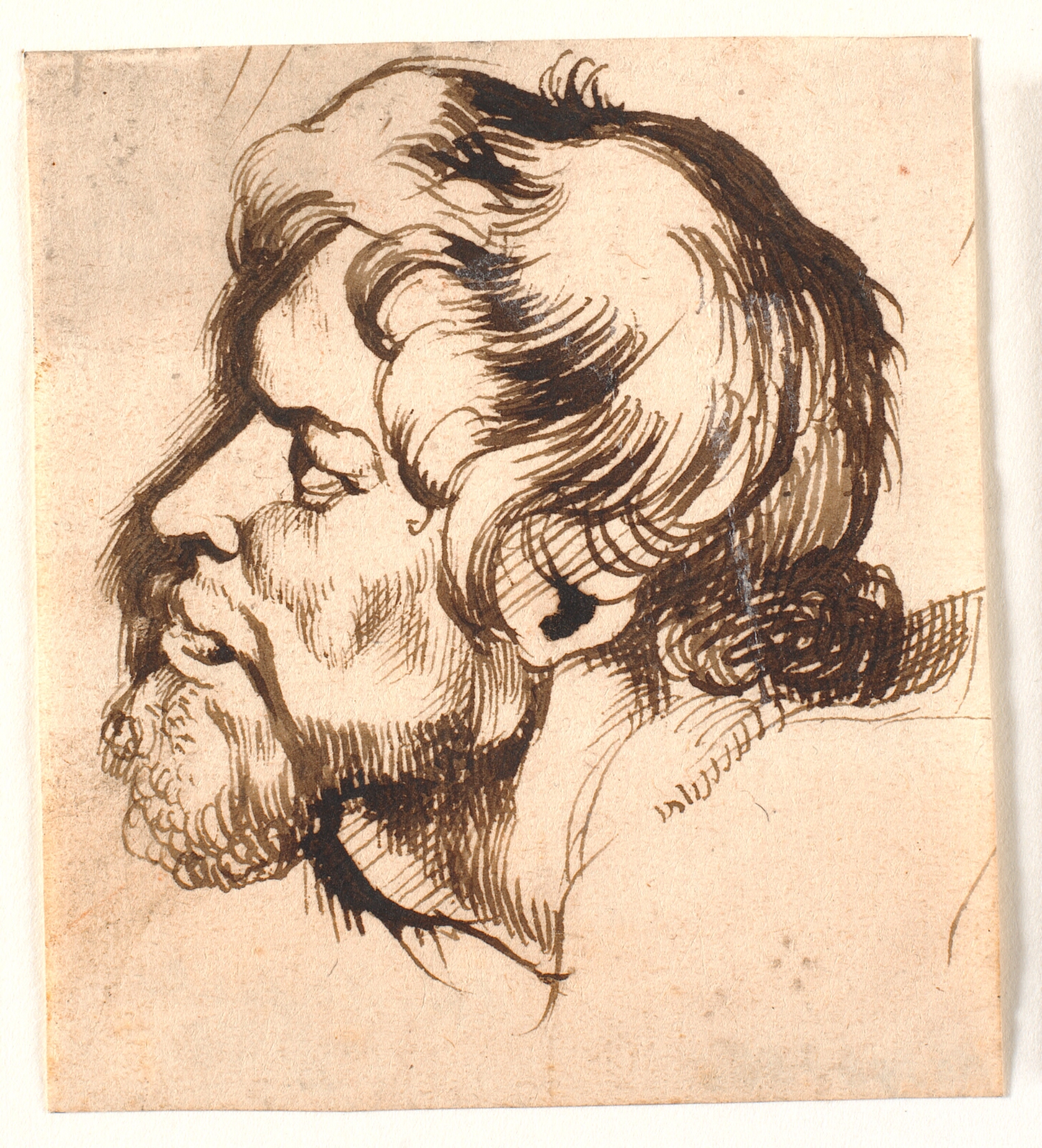 Peter Paul Rubens, Hovedet af en mand