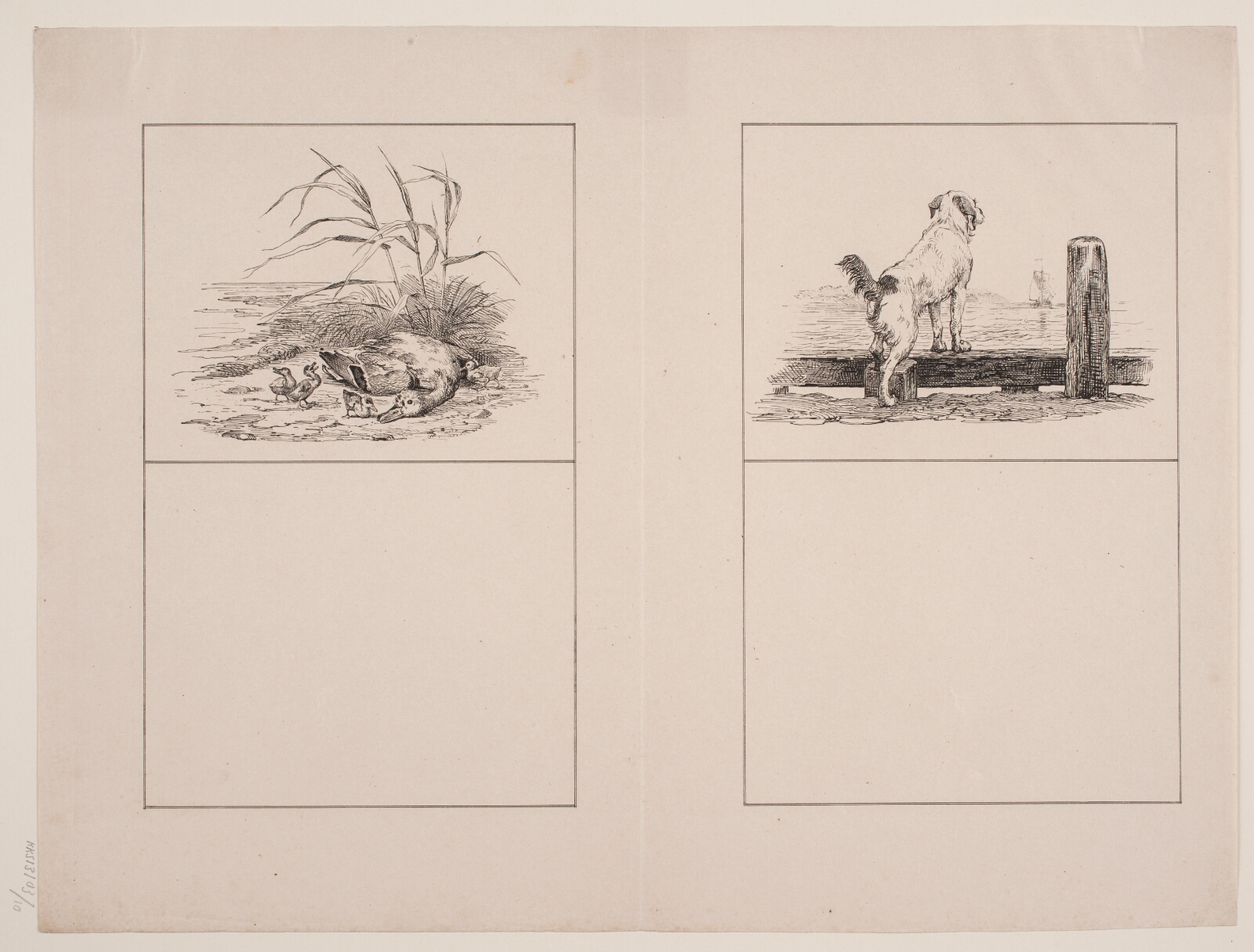 Adolph Kittendorff, Den dræbte and; Hunden ved stranden