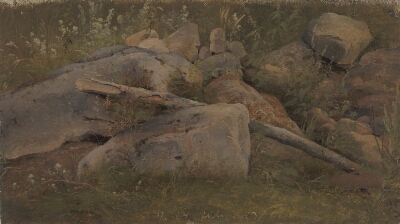 Study of a Stone Heap
