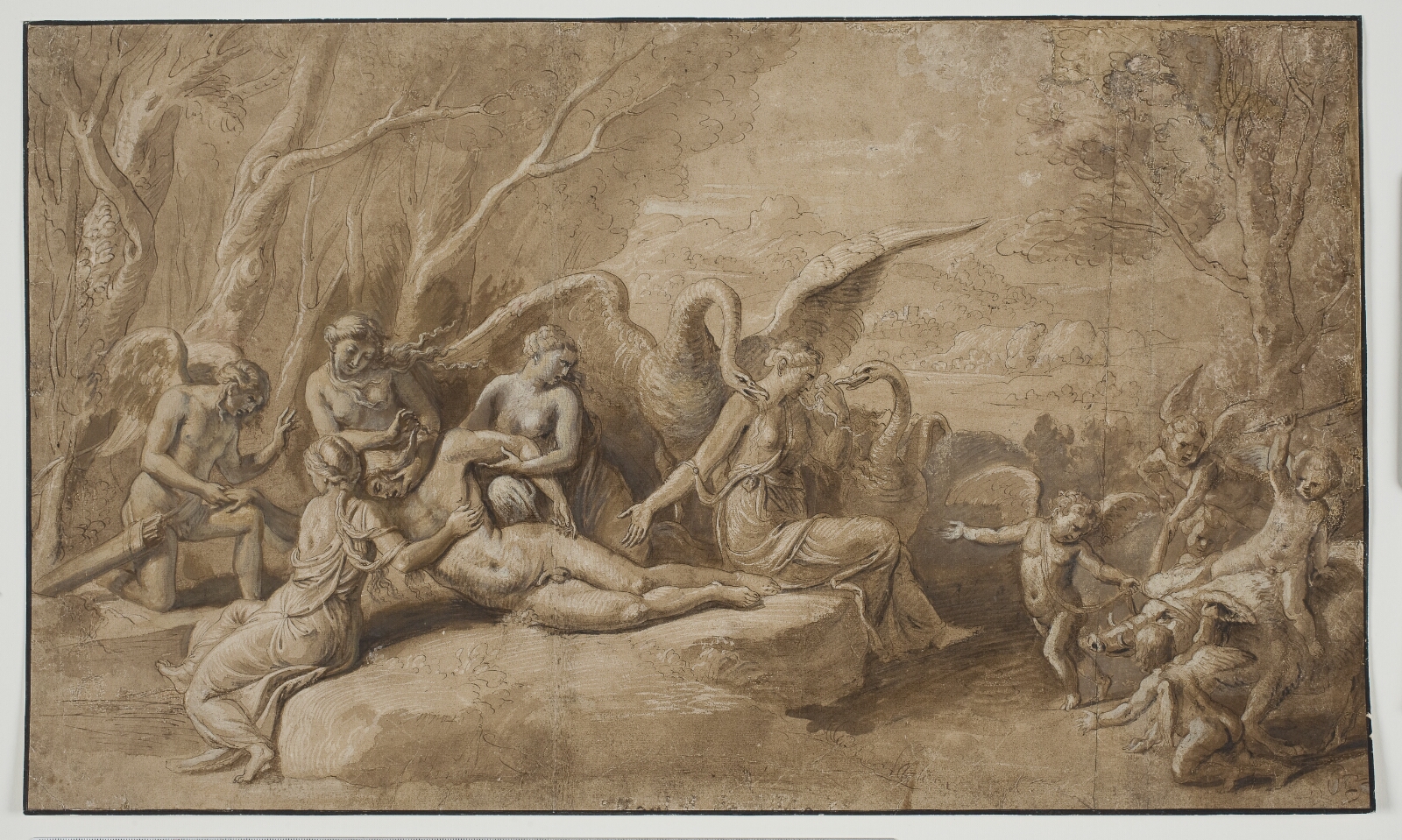 Giulio Romano, Venus begræder Adonis' død