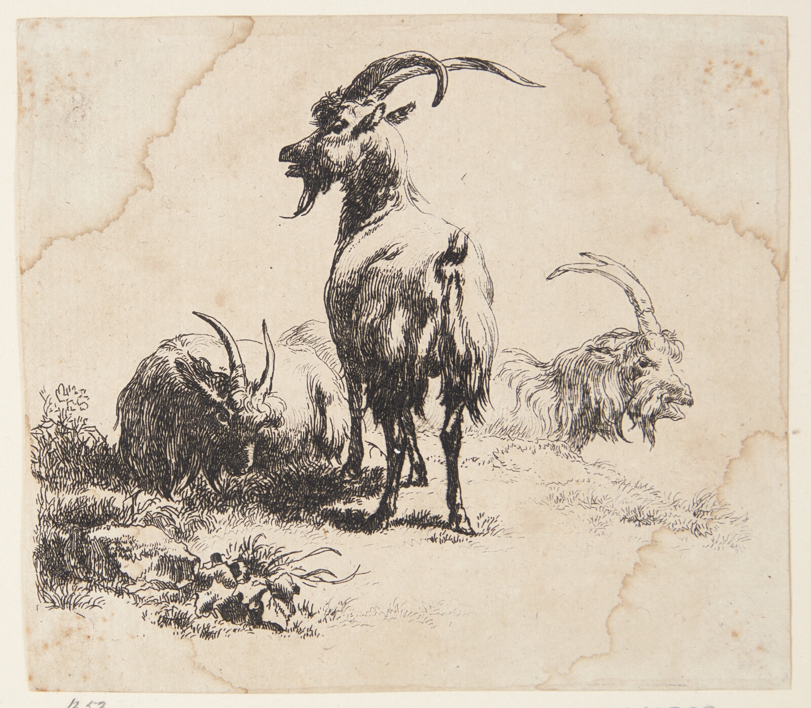 Nicolaes Berchem, Tre geder