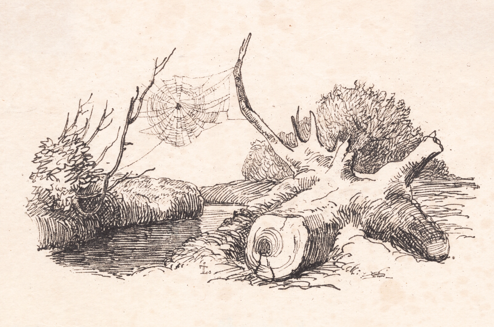 Johan Thomas Lundbye, Edderkoppen