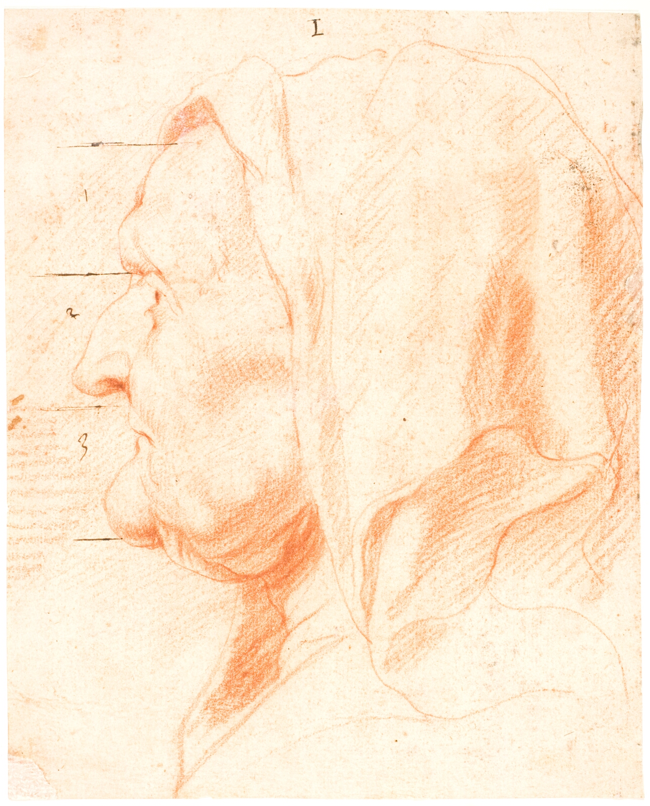 Jacob Jordaens, Hovedprofil af gammel kvinde med tørklæde