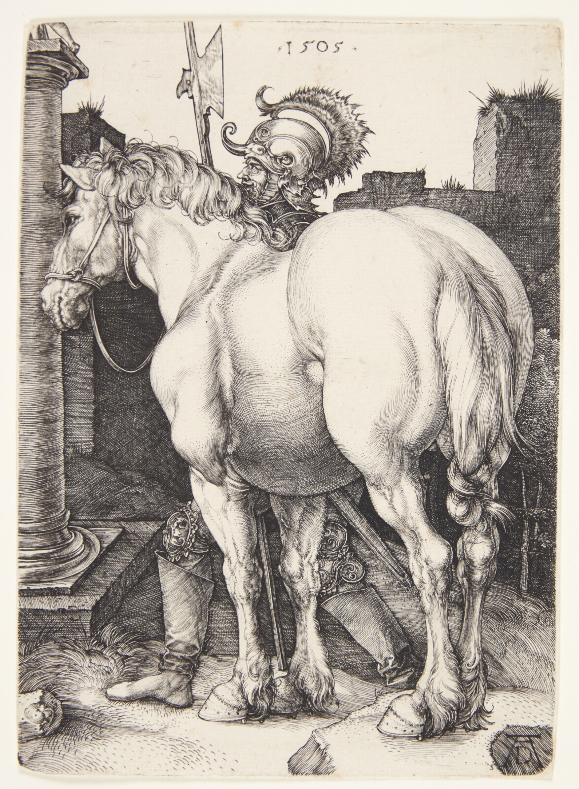 Albrecht Dürer, Den store hest