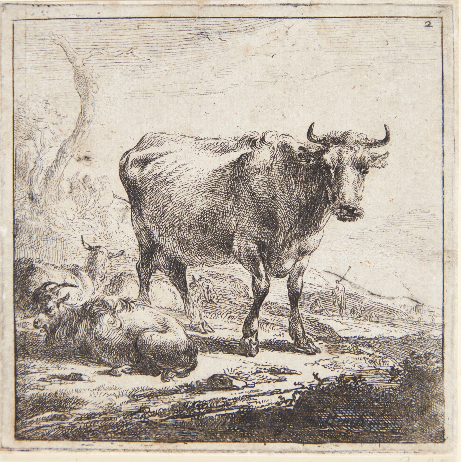 Nicolaes Berchem, Stående ko og liggende geder og får