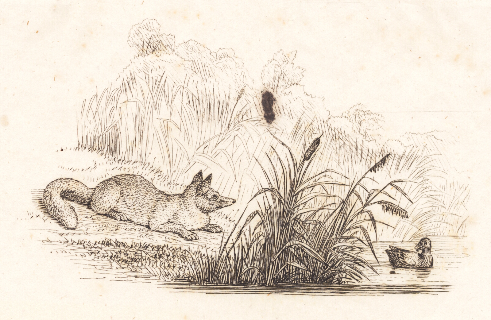 Martinus Rørbye, Illustration til "Halvhundrede Fabler for Børn" af Hey