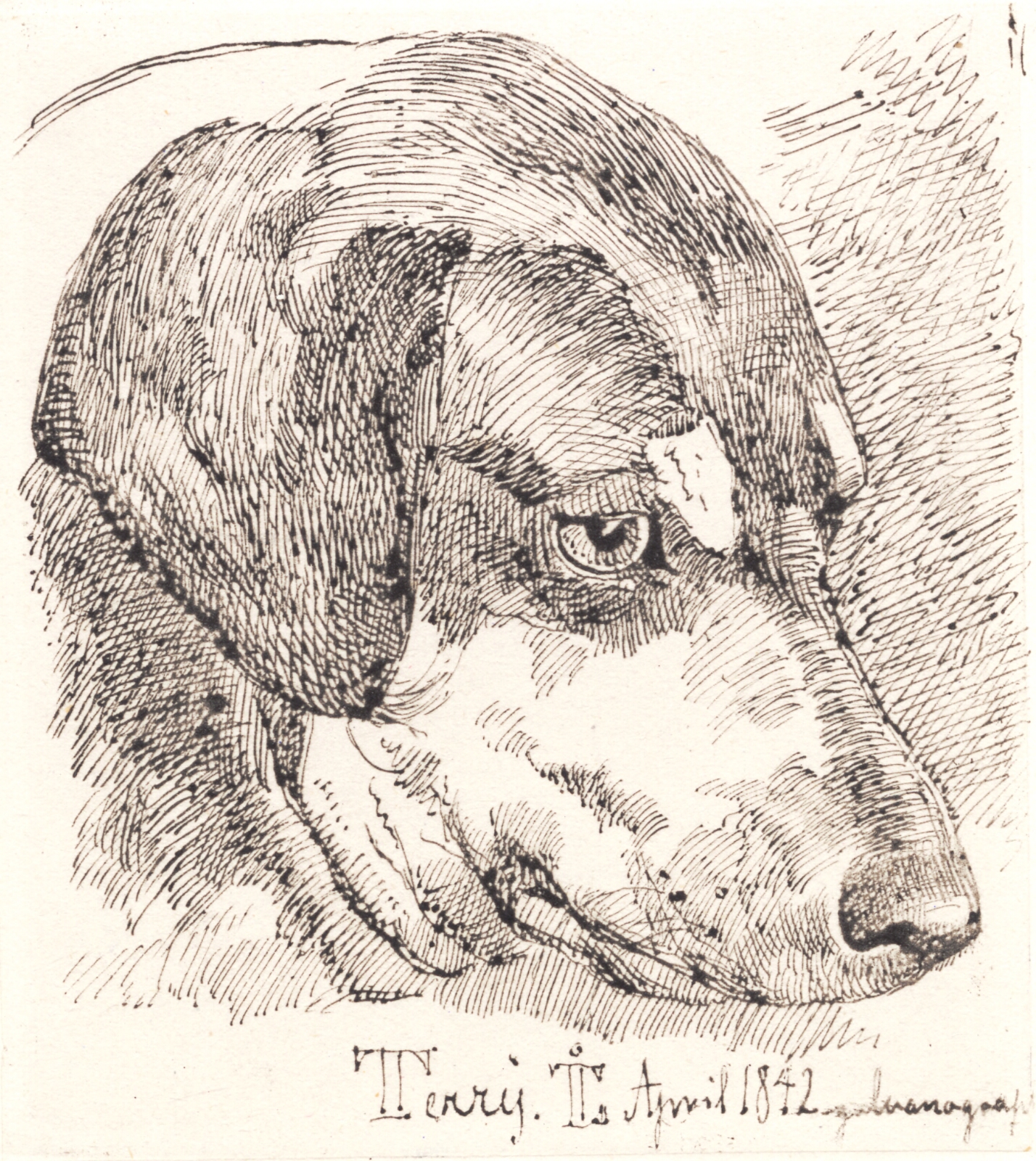 Johan Thomas Lundbye, Hundehoved, Terry