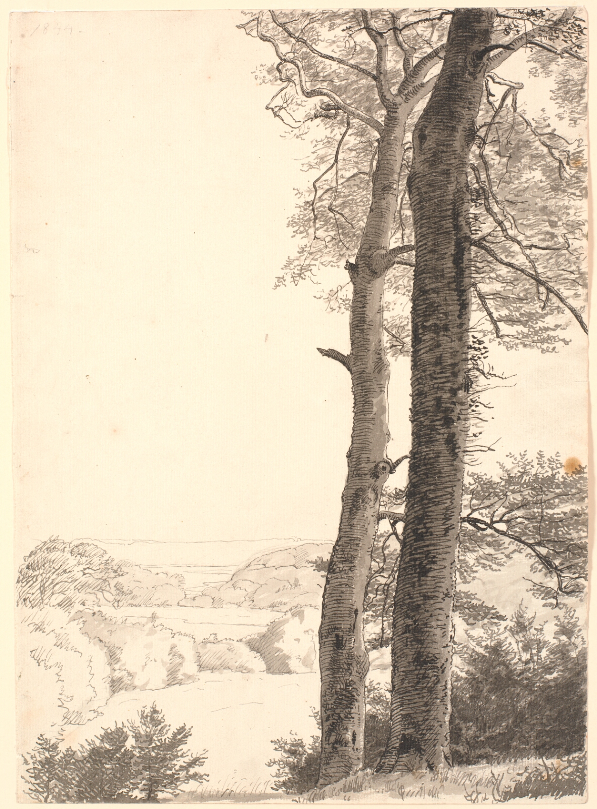 P.C. Skovgaard, Landskab ved Skarritsø med to høje træer, bøge, i forgrunden.