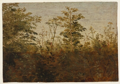 Foreground Study