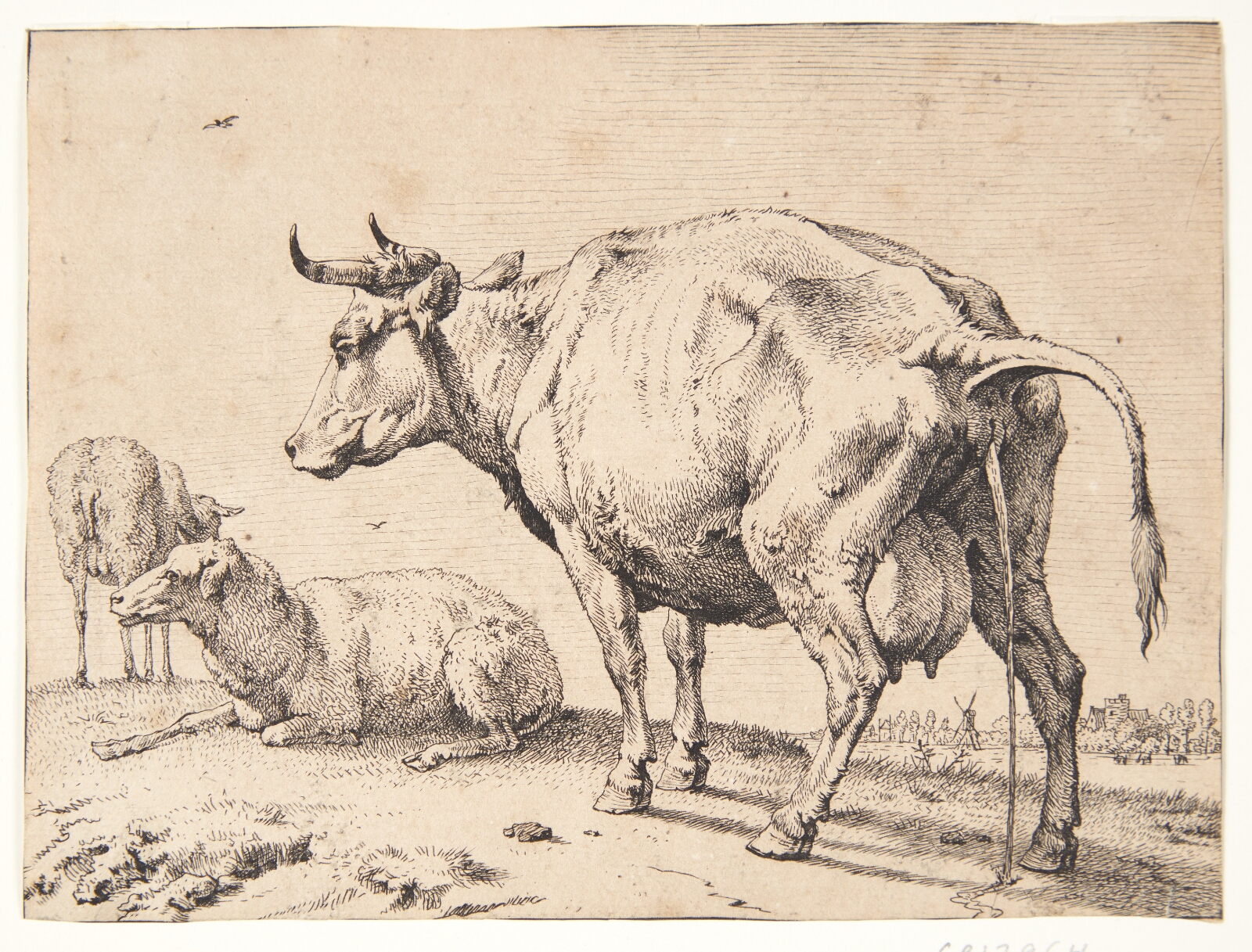 Paulus Potter, En pissende ko