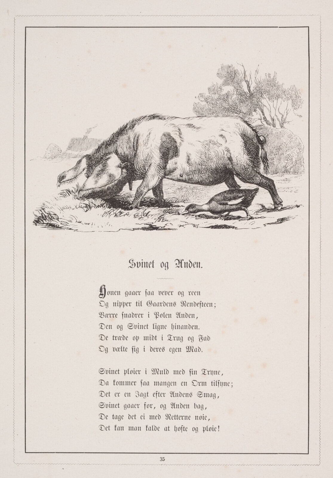 H.P. Hansen, Svinet og Anden. Illustration til H.V. Kaalund, "Fabler for Børn"