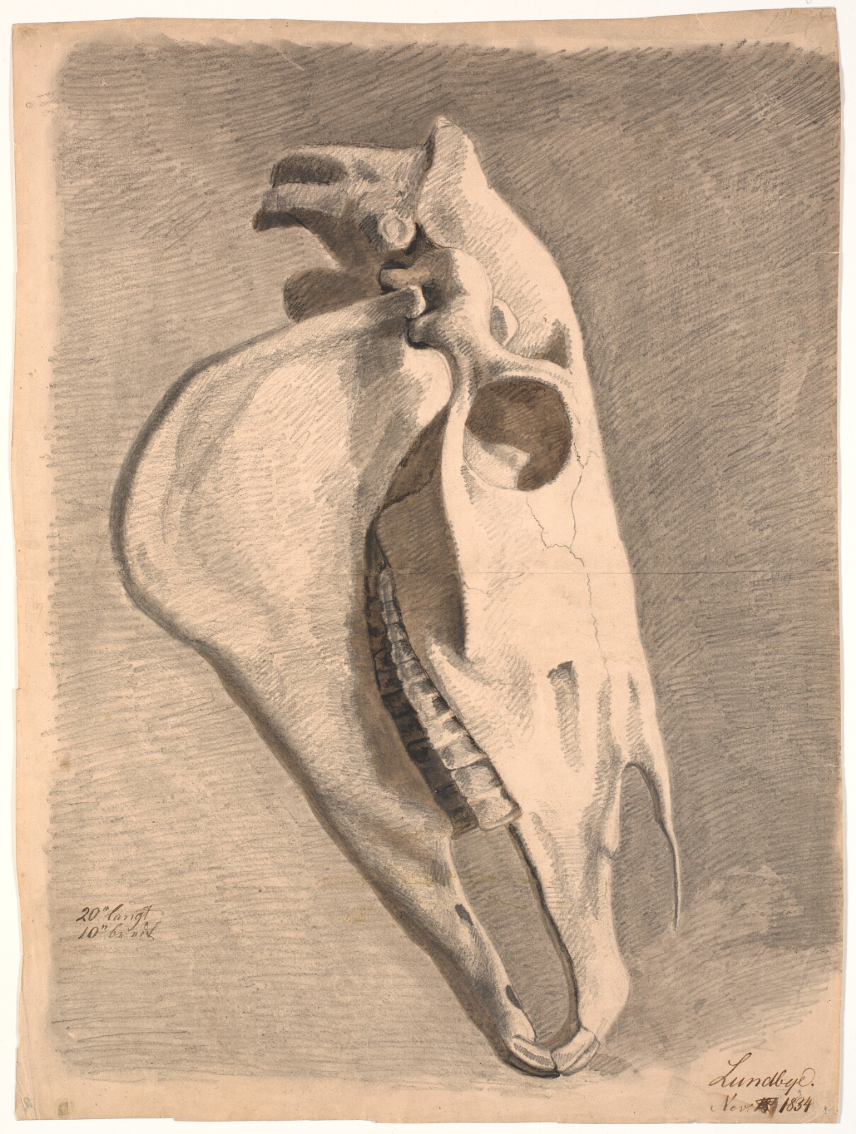 Johan Thomas Lundbye, Hestekranium