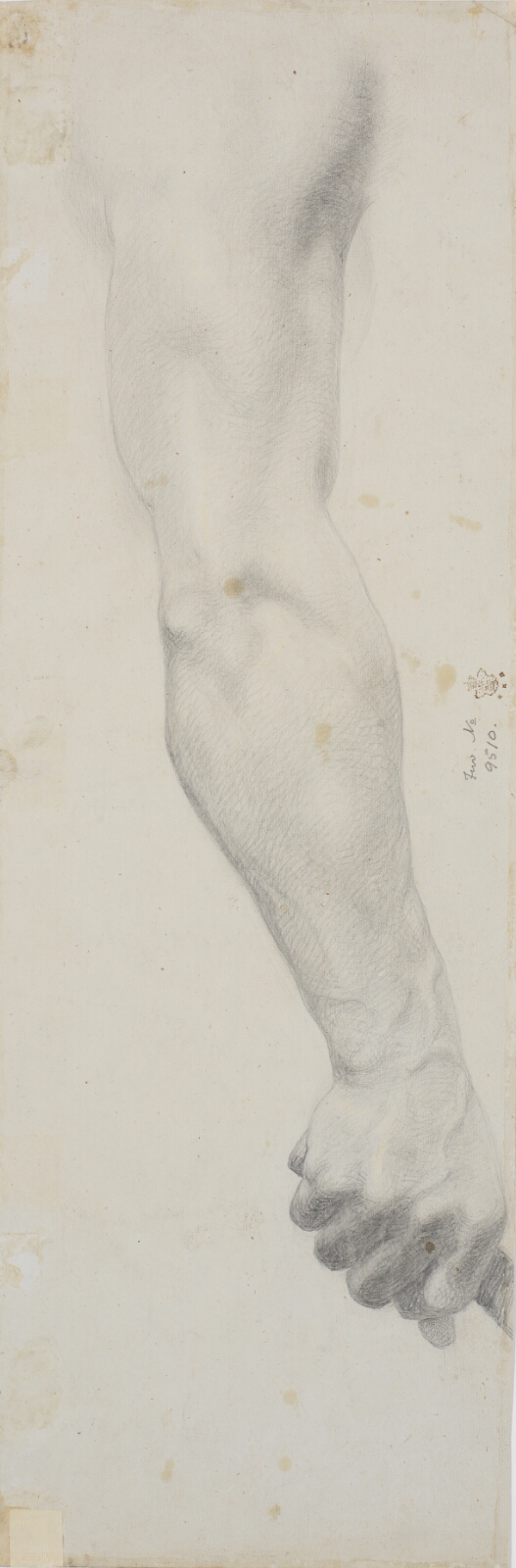 Theodor Philipsen, Studie af mandlig højre arm