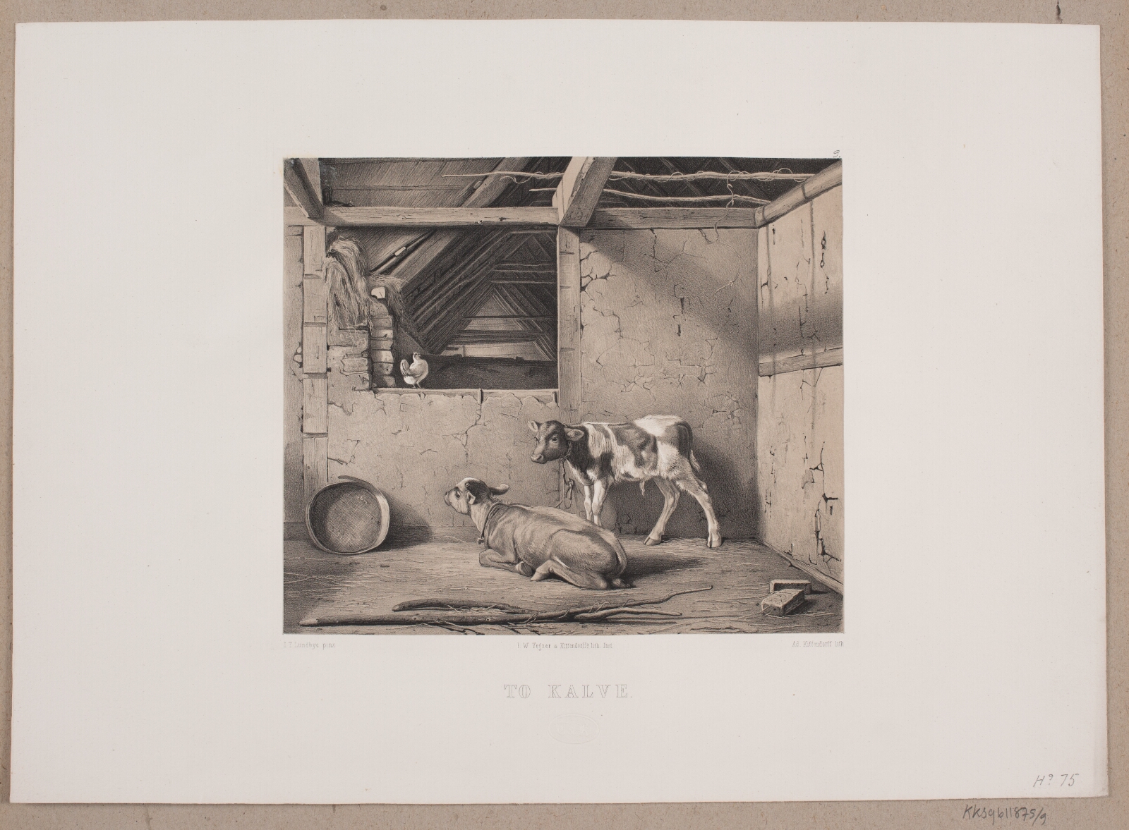 Adolph Kittendorff, To kalve