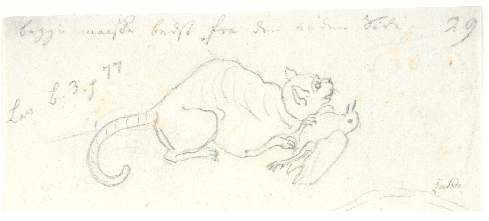 Gerhard Ludvig Lahde, Kat med fugl