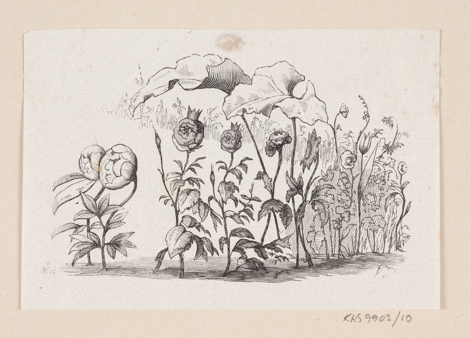 H.P. Hansen, Illustration til "Den lille Idas Blomster" i H.C. Andersen, "Eventyr og Historier", Bind 1