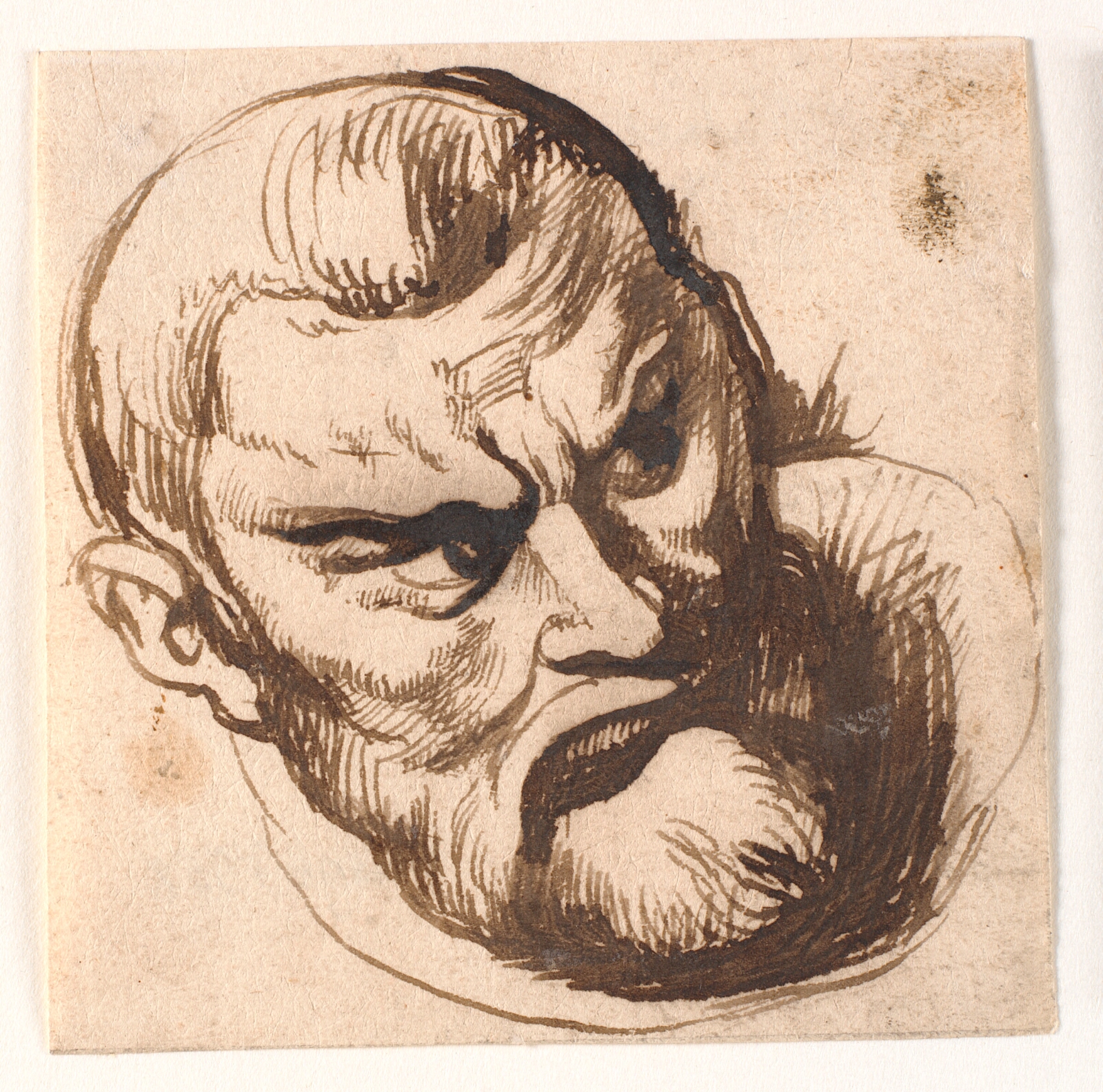 Peter Paul Rubens, Mandehoved