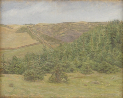 Svanninge Hills, Funen