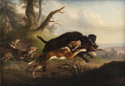 En vildsvinejagt