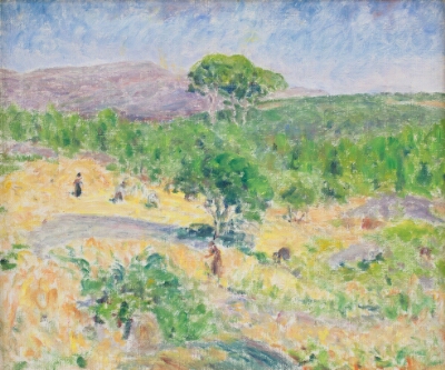 Maize Harvest, Portugal