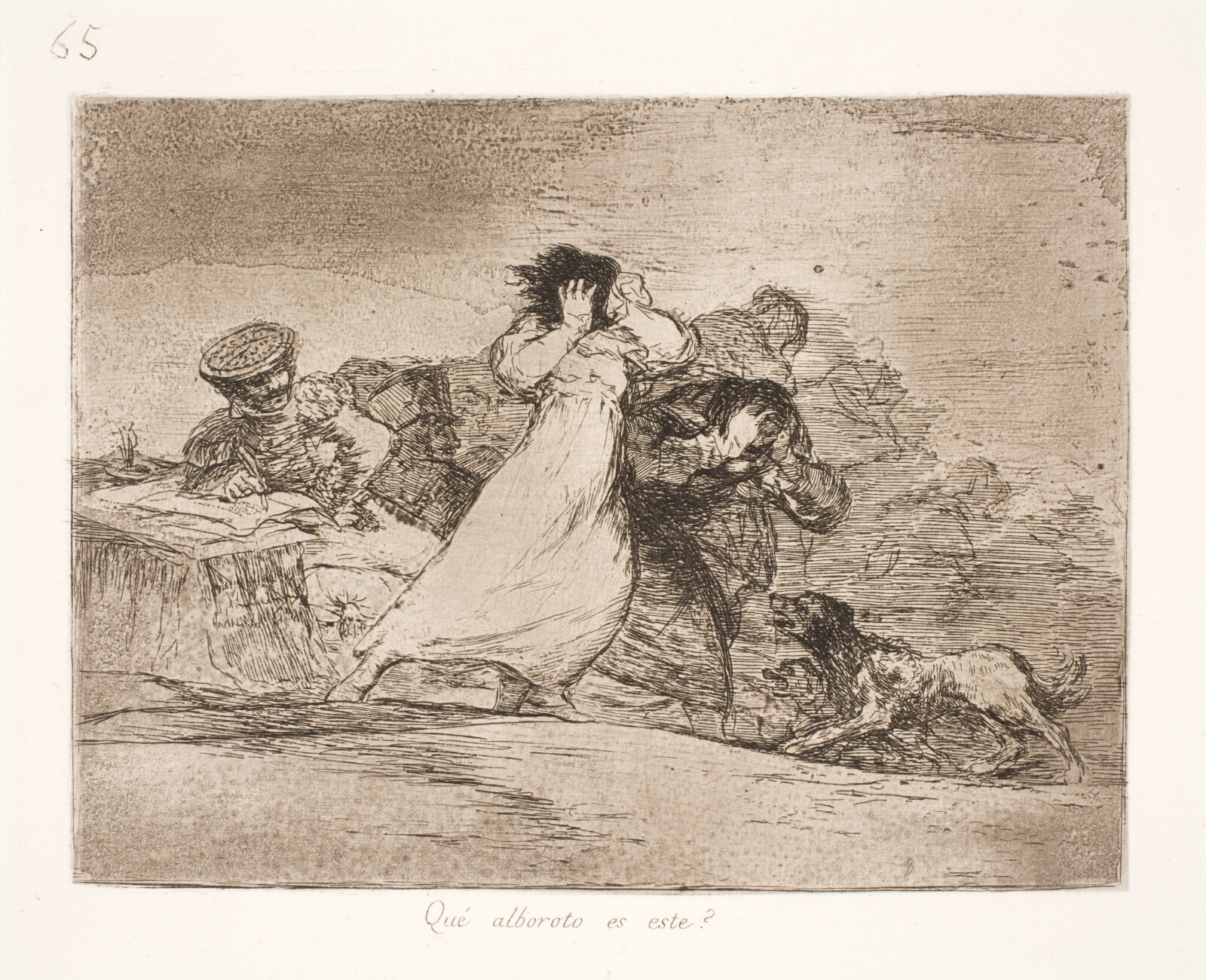 Francisco de Goya, Hvad betyder denne forvirring? (65)