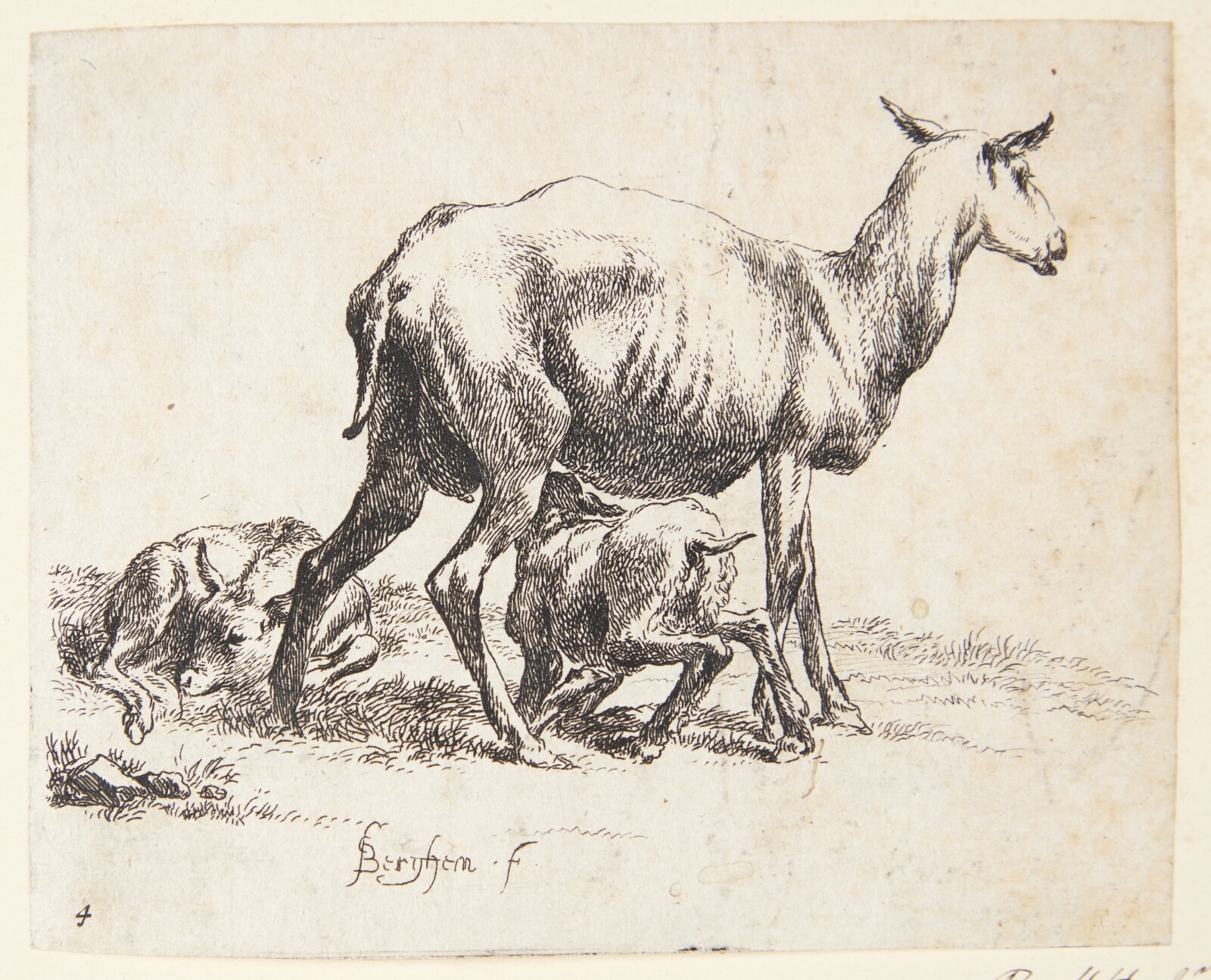 Nicolaes Berchem, Barberet får med to lam