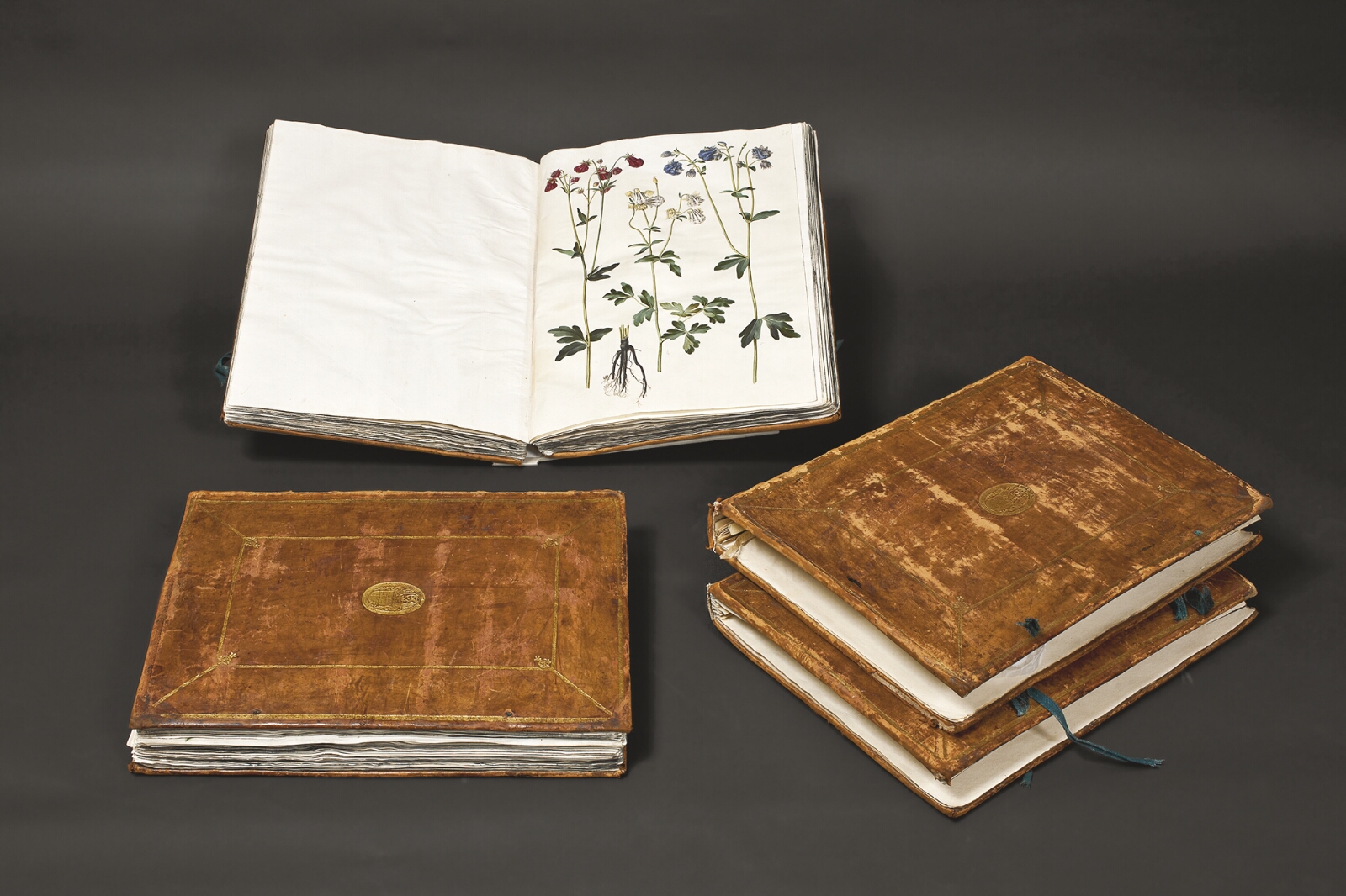 Hans Simon Holtzbecker, Gottorfer Codex, bd. 2
