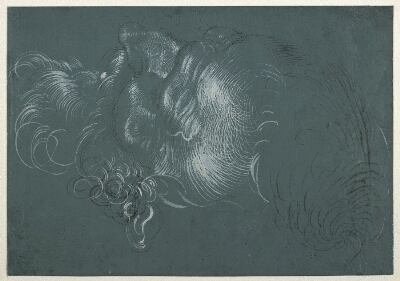 Head of an apostle, seen from above left., Baldung Grien, Hans, 1484-1545