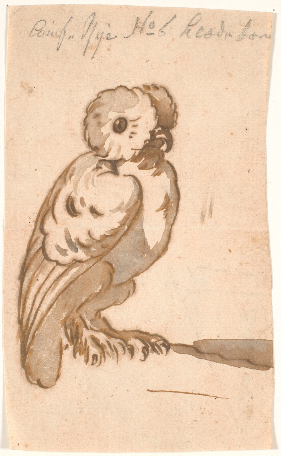 Nicolai Abildgaard, En ugle