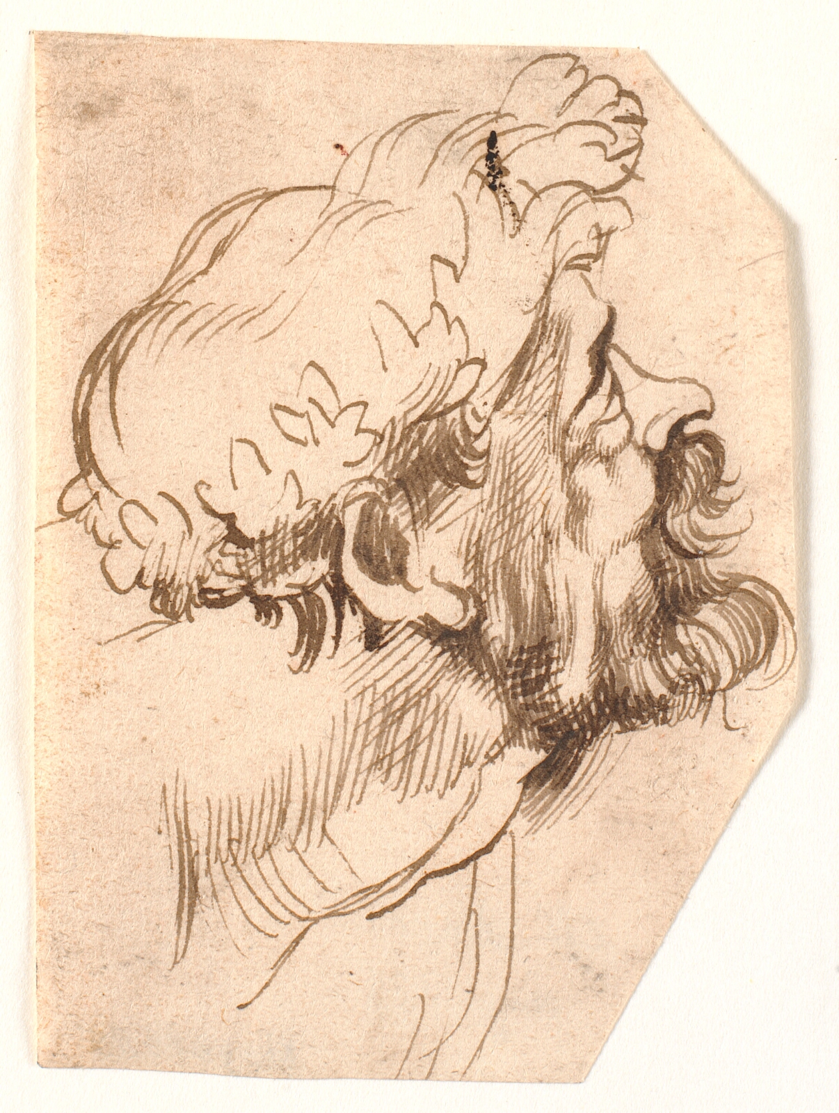 Peter Paul Rubens, Hovedet af en mand