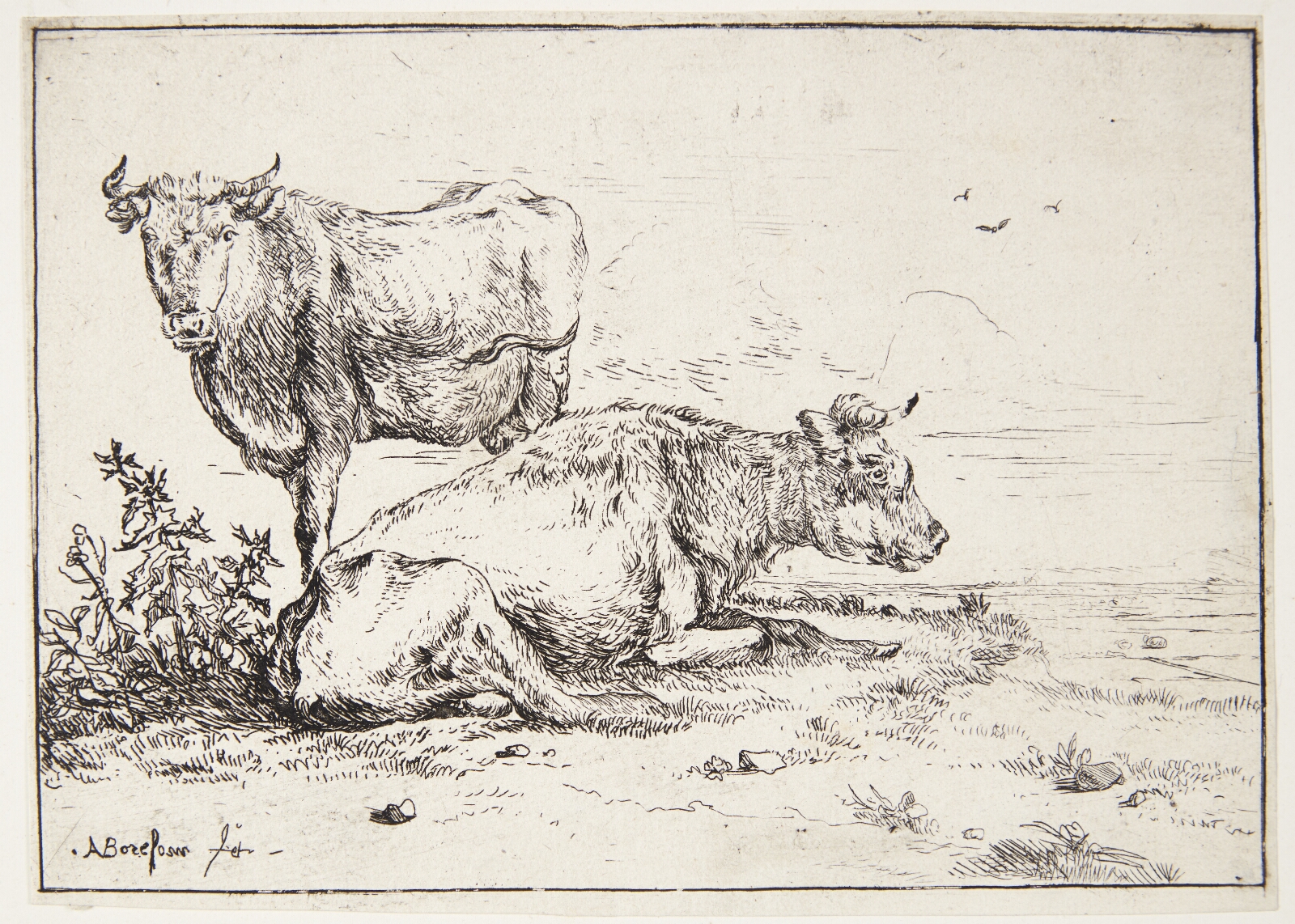 Anthonie van Borssom, To køer