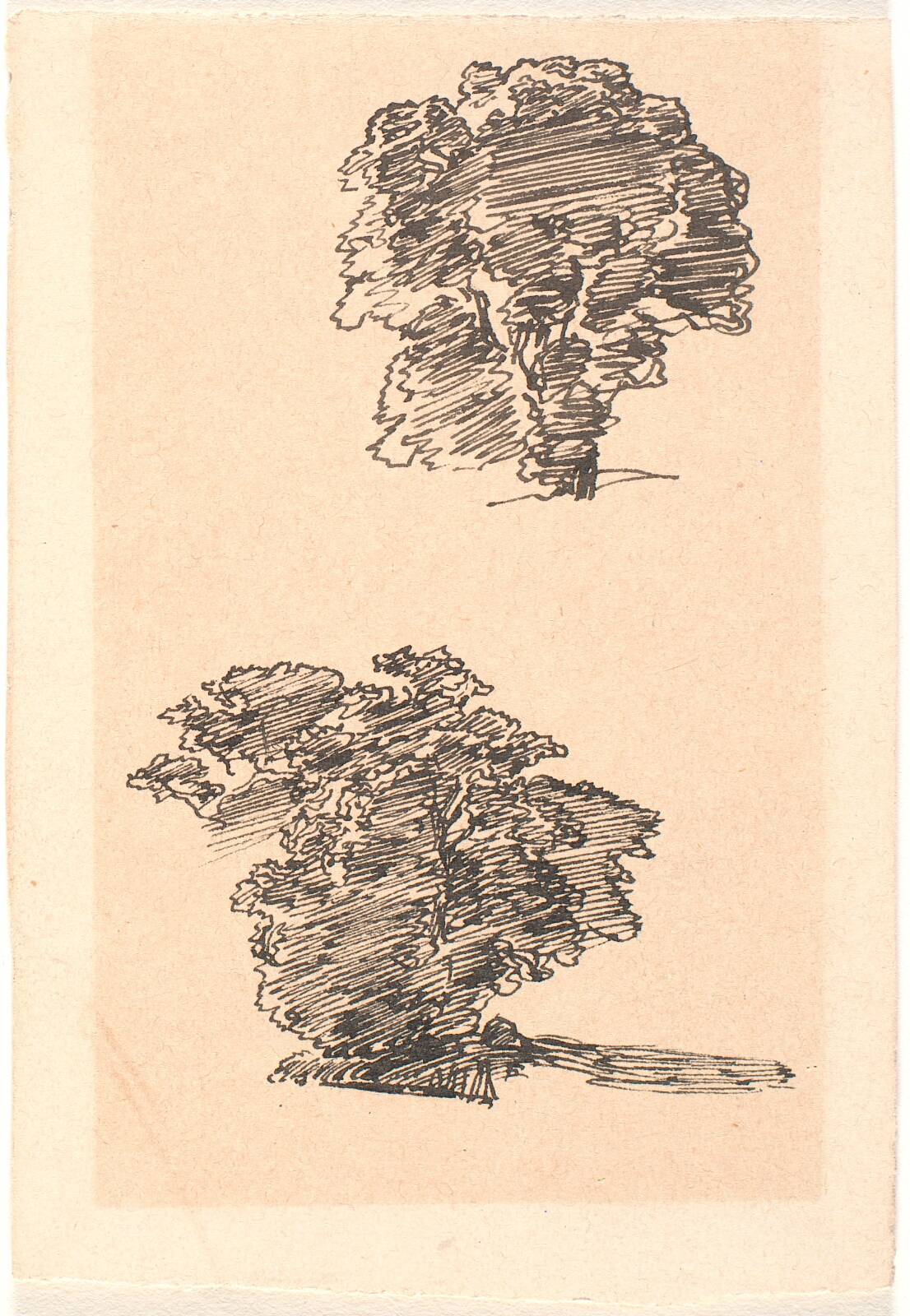 Joakim Skovgaard, To studier af et træ