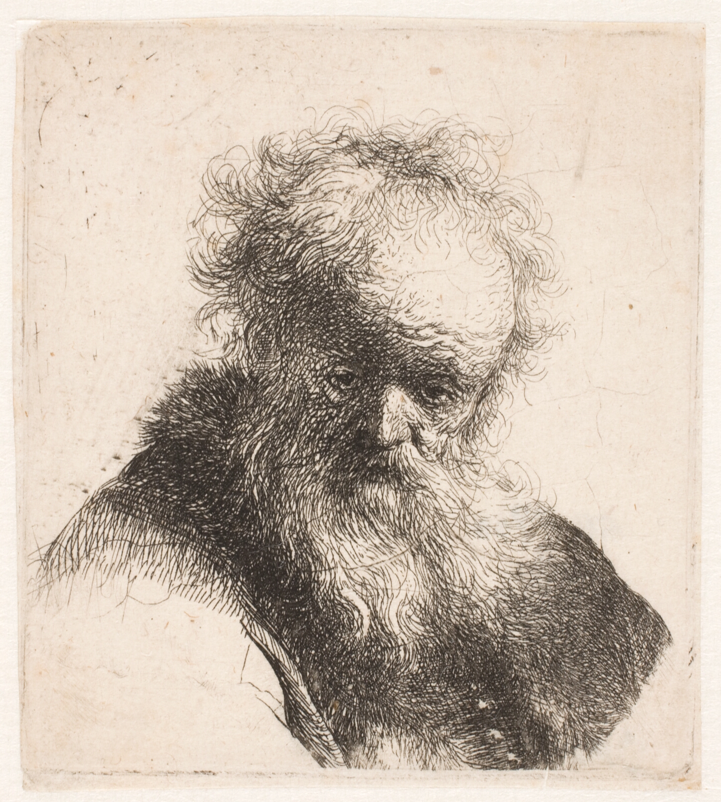 Rembrandt van Rijn, Hoved af en gammel mand