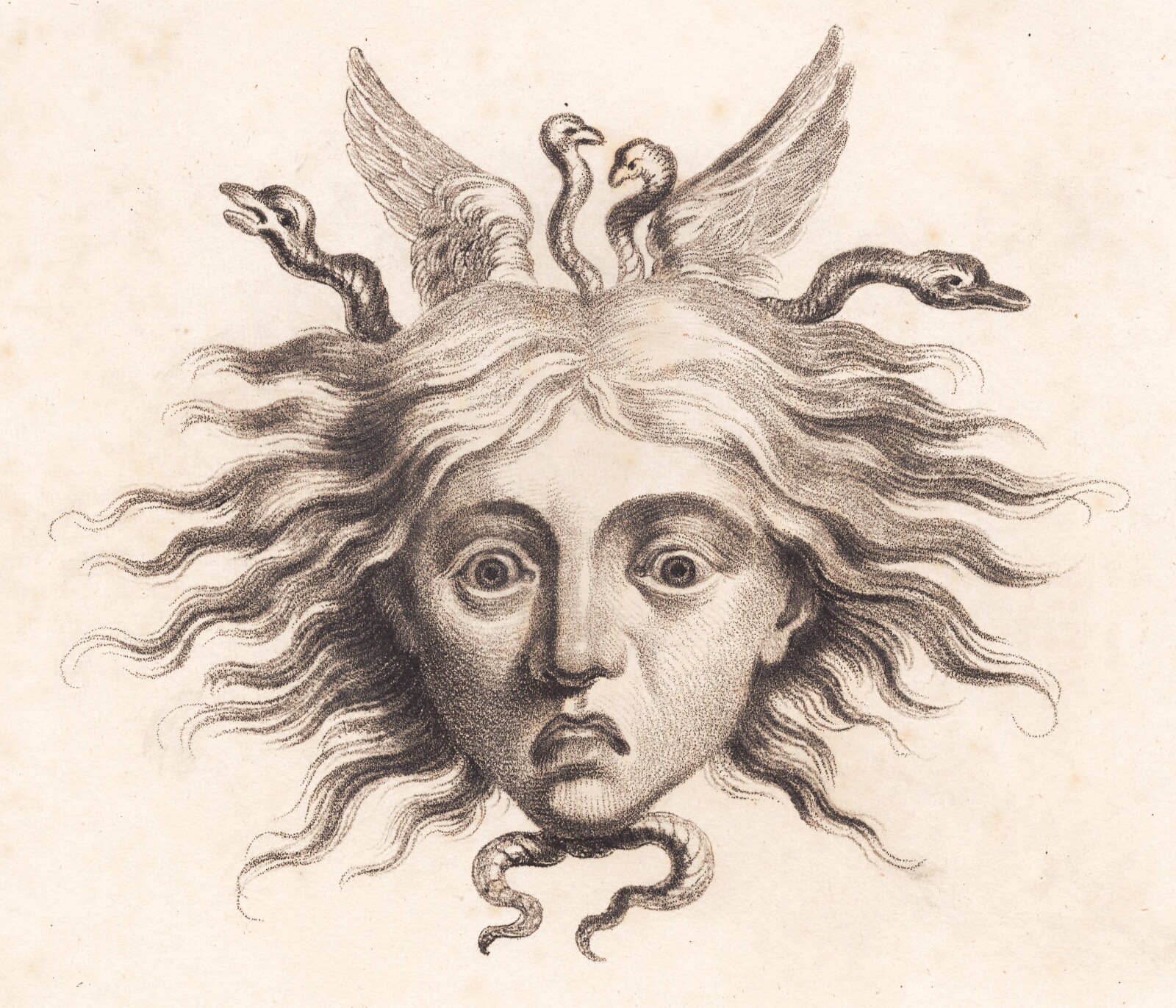 J.F. Clemens, Medusahoved