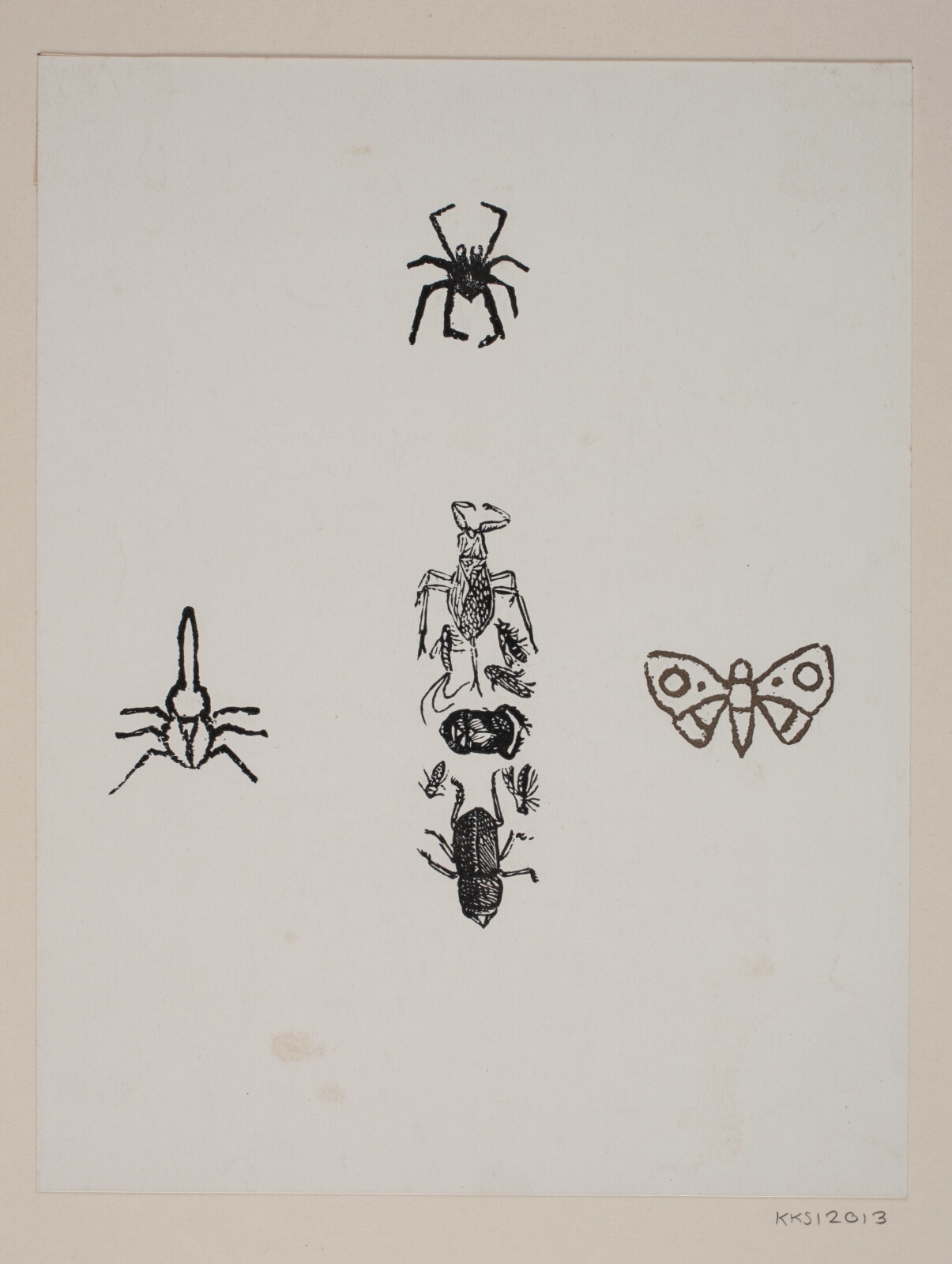 Joakim Skovgaard, Blad med sommerfugl, tæge, skarnbasse og andre insekter
