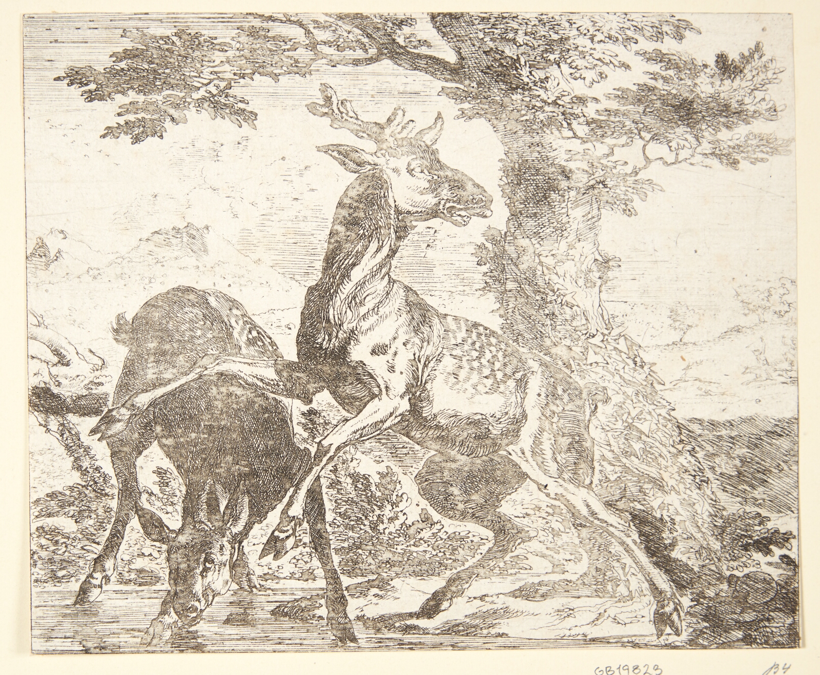 Abraham Hondius, To hjorte