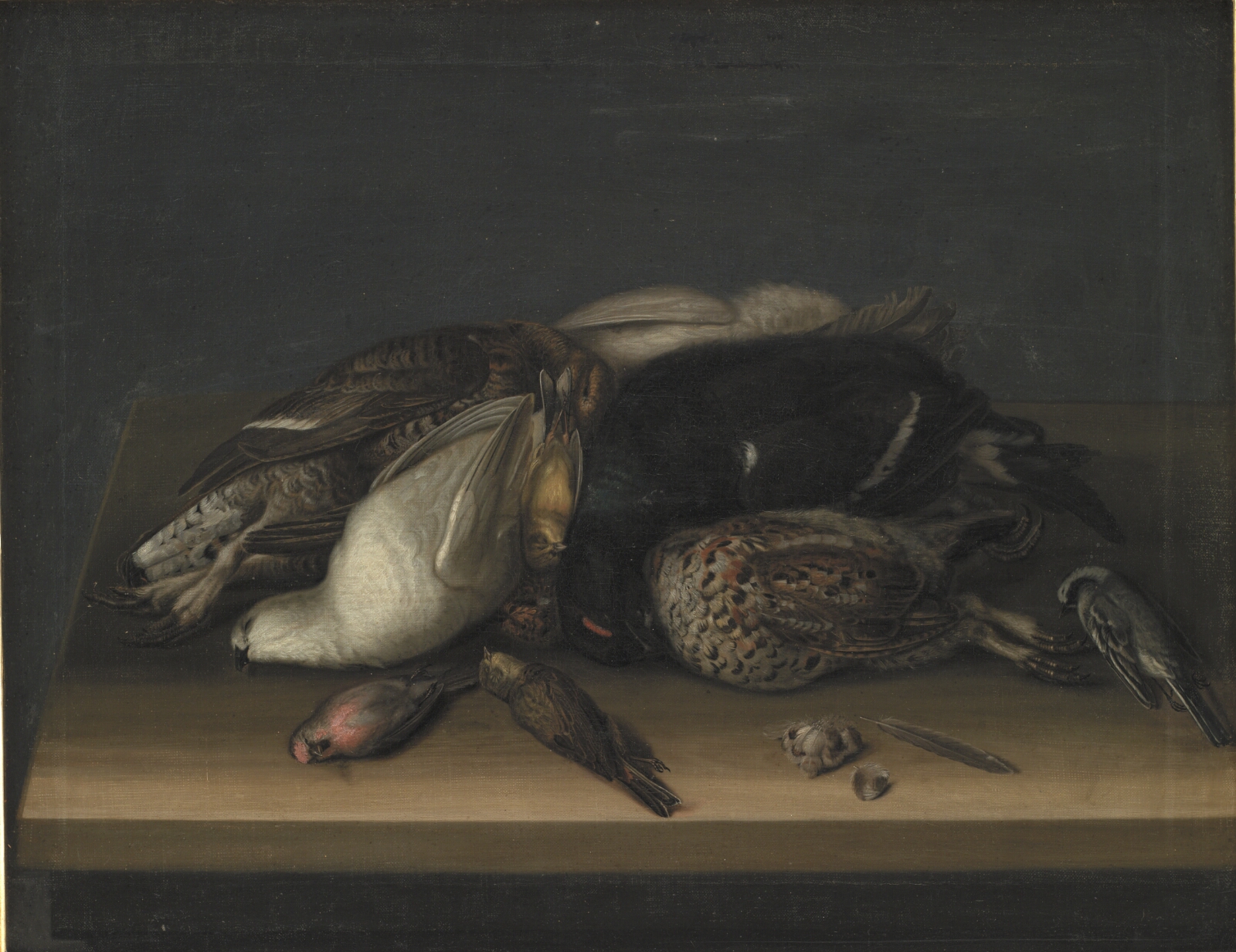Jacob Biltius, Fuglevildt på et træbord