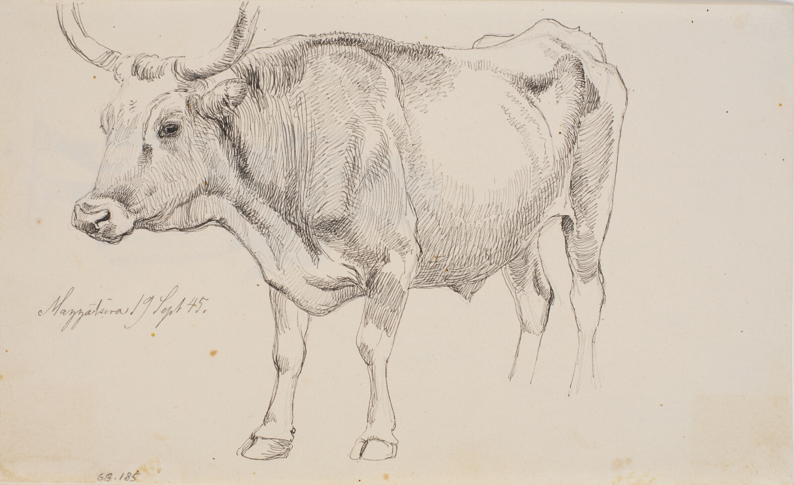 Johan Thomas Lundbye, Stående tyr
