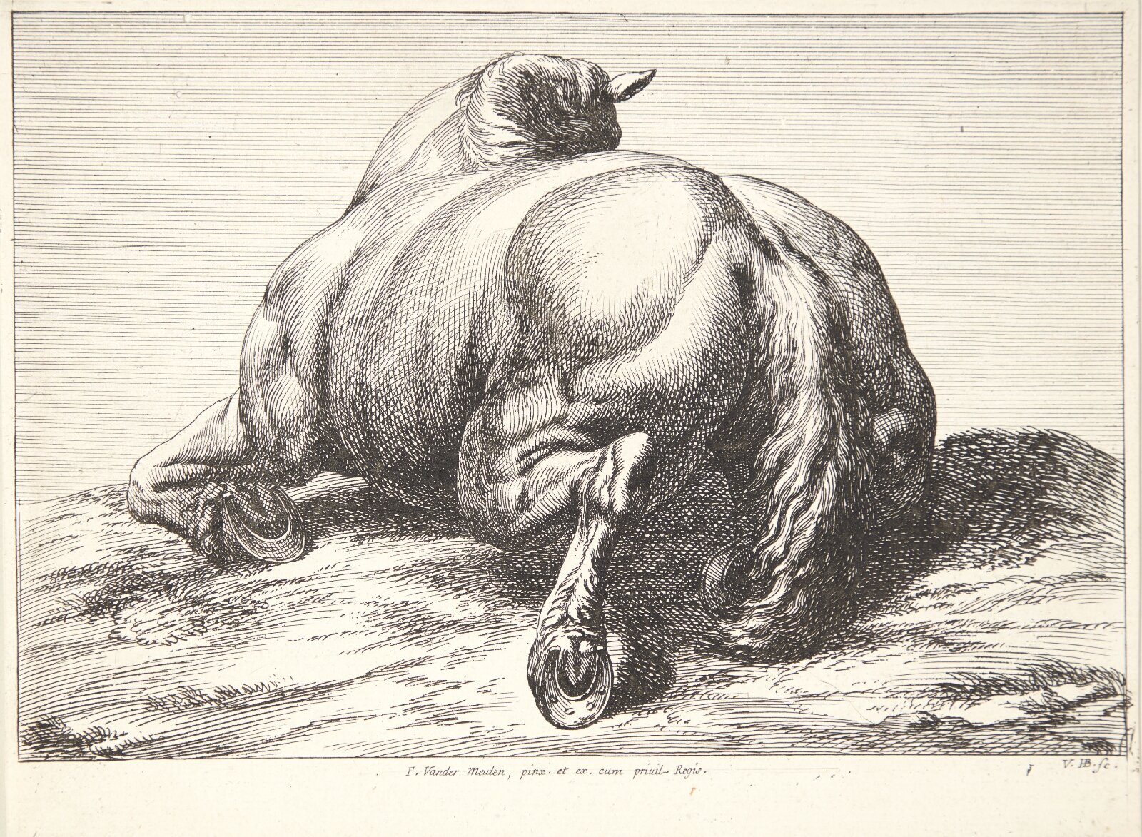 Jan van Huchtenburg, Falden hest, set bagfra