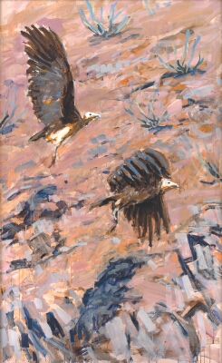 The Omnipresent Hooded Vultures, Taking Flight