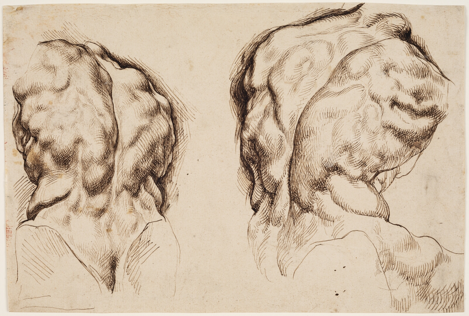Peter Paul Rubens, Torso Belvedere