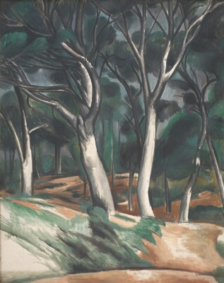 Pinewood near Sausset-les-Pins