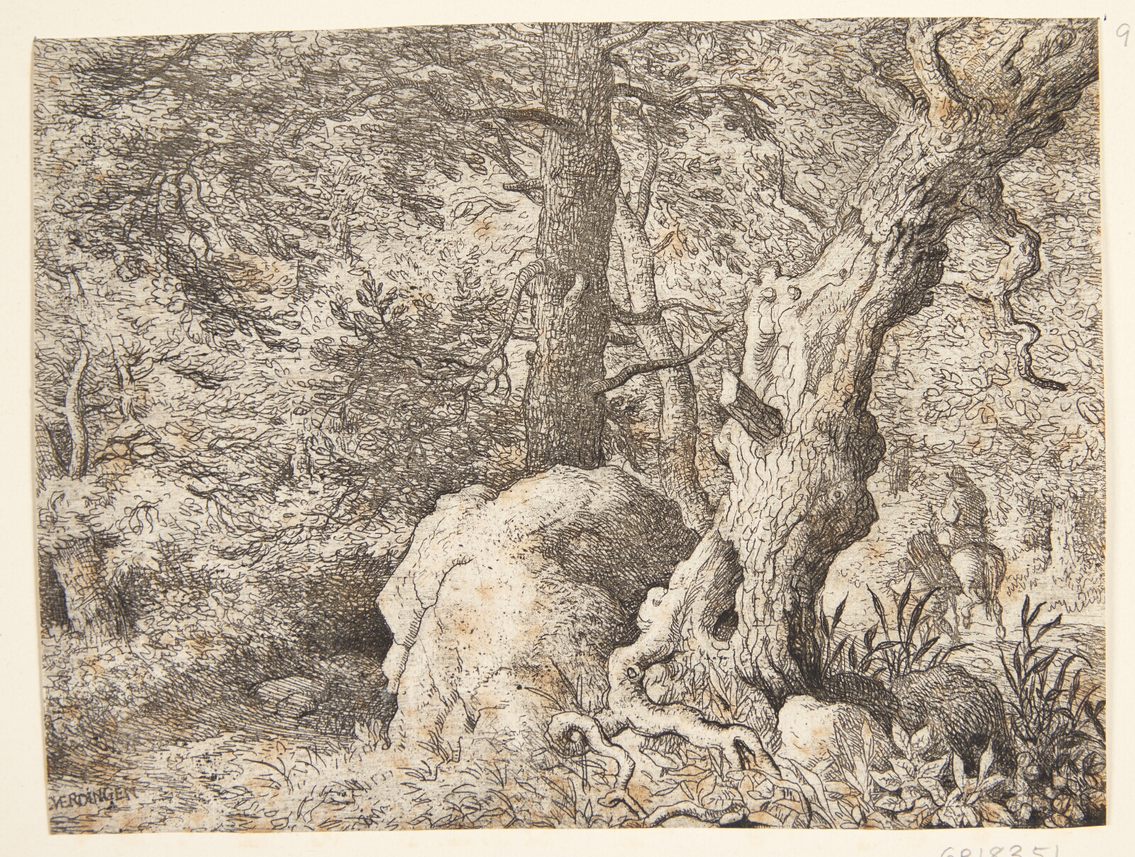 Allaert van Everdingen, En skov