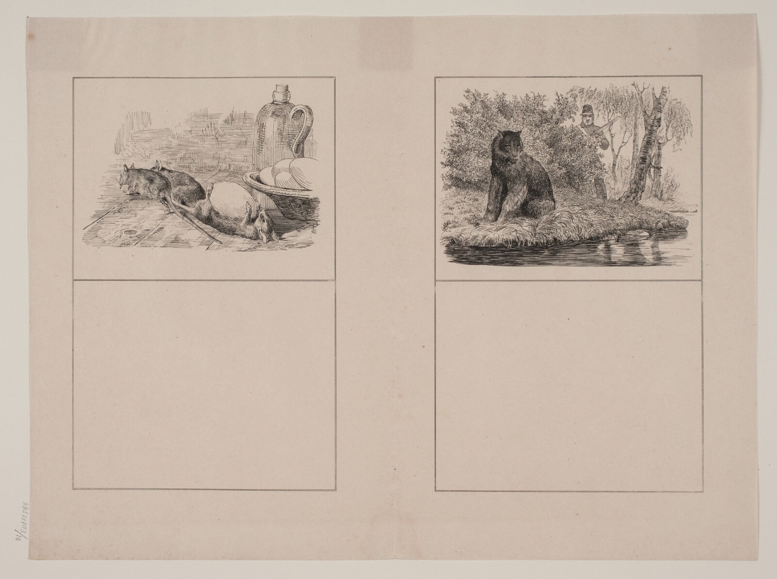 Adolph Kittendorff, Rotterne; Bjørnen