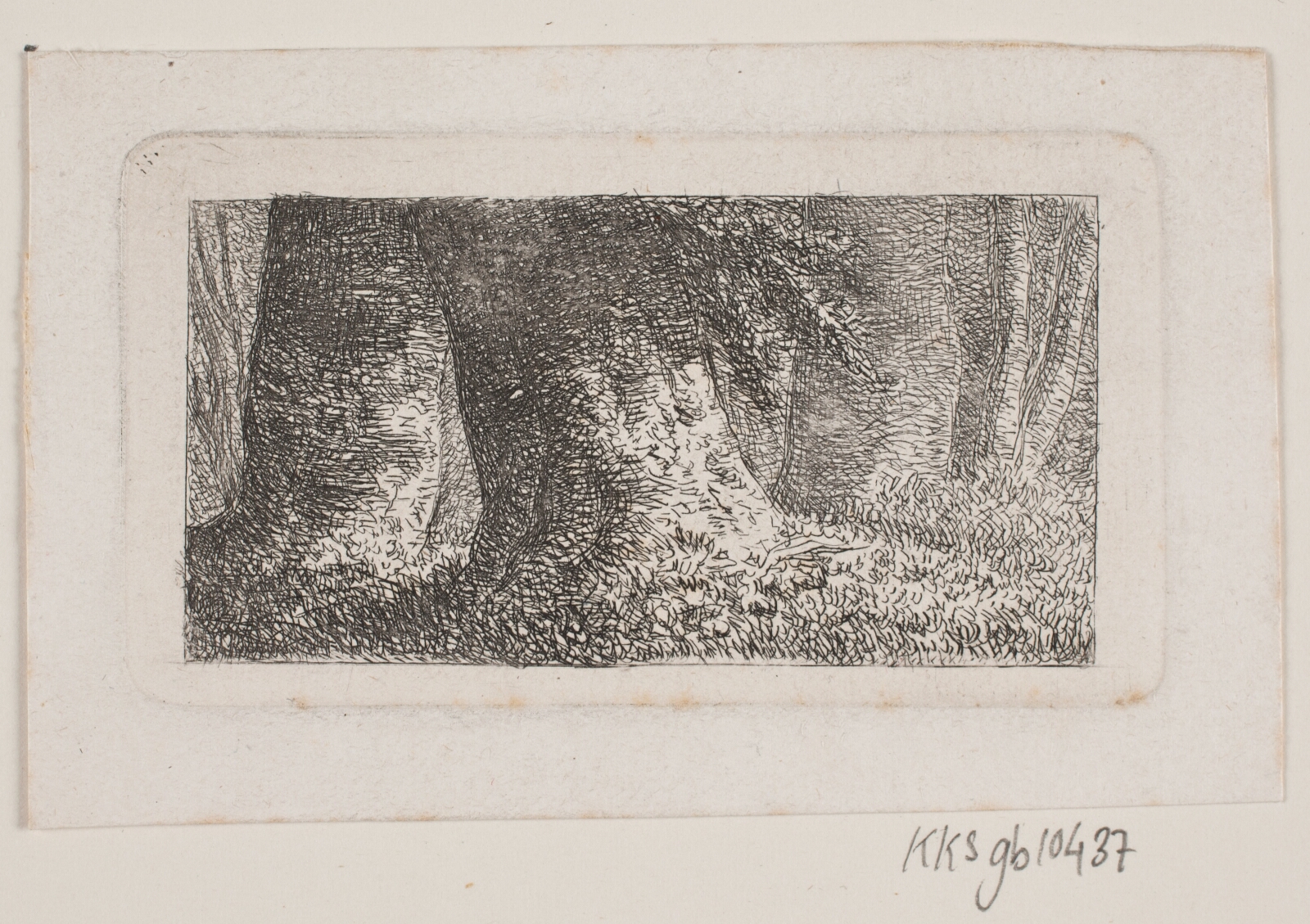 J.P. Møller, Skovinteriør