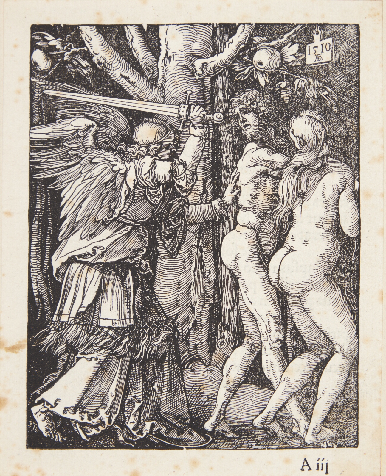 Albrecht Dürer, Uddrivelsen af Paradis