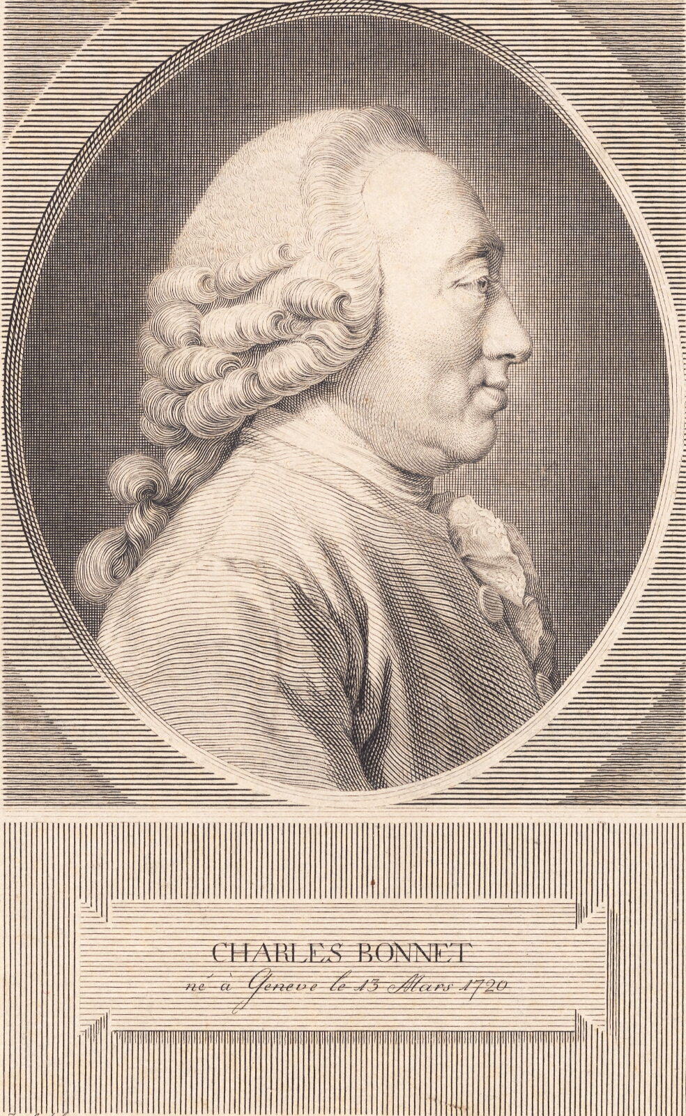 J.F. Clemens, Charles Bonnet