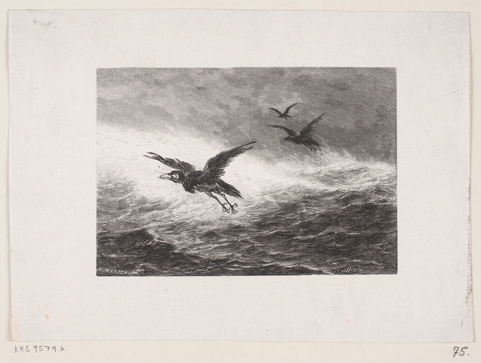 H.P. Hansen, Illustration til "Makreldorg"